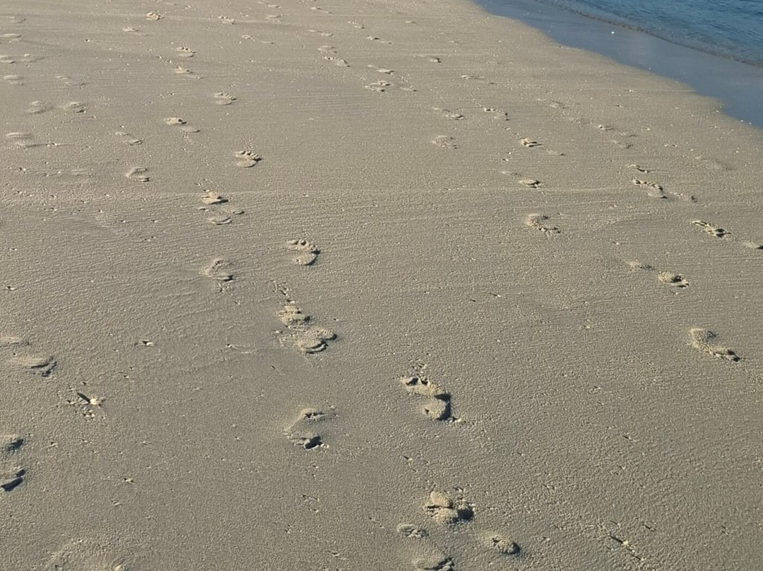 Riu Atoll House Reef-Gadifuri必去景点