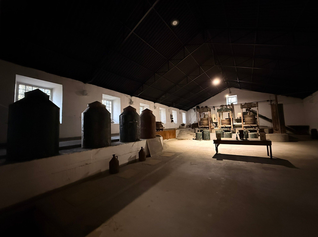 Azeite Casa Anadia - Olive Oil & Tours-Abrantes必去景点