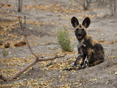 Rare Earth Tours-温德和克必去景点