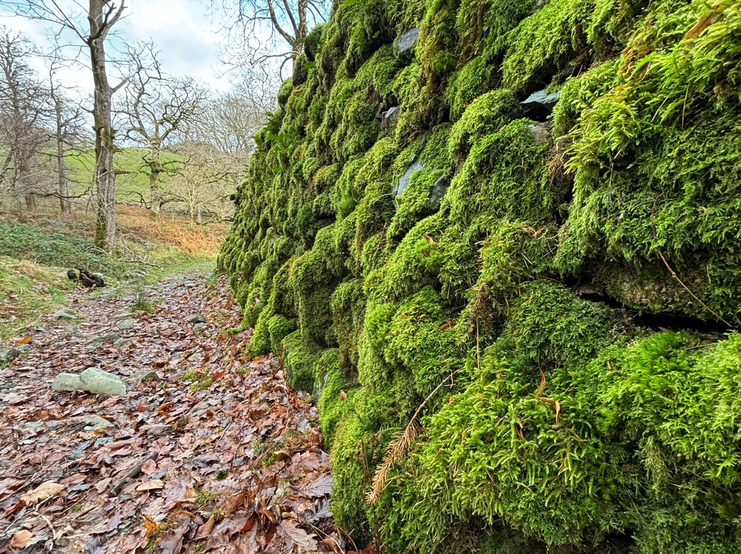 Rhaeadr Ddu and Coed Ganllwyd Walk-Ganllwyd必去景点