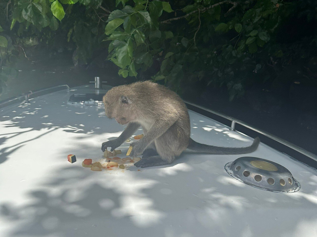 La Criee Ltee boat tours-蓝湾必去景点