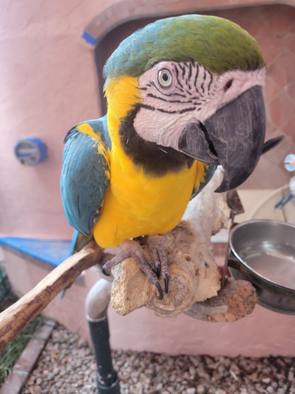 The Inn At Cocoa Beach-官方