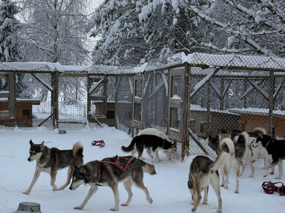 Husky & Yoga Nature-罗瓦涅米必去景点