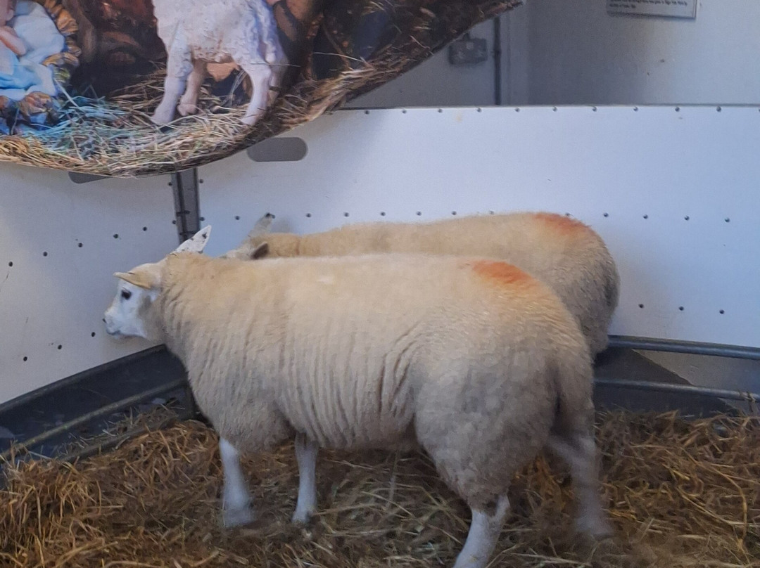 Sligo Folk Park-Riverstown必去景点