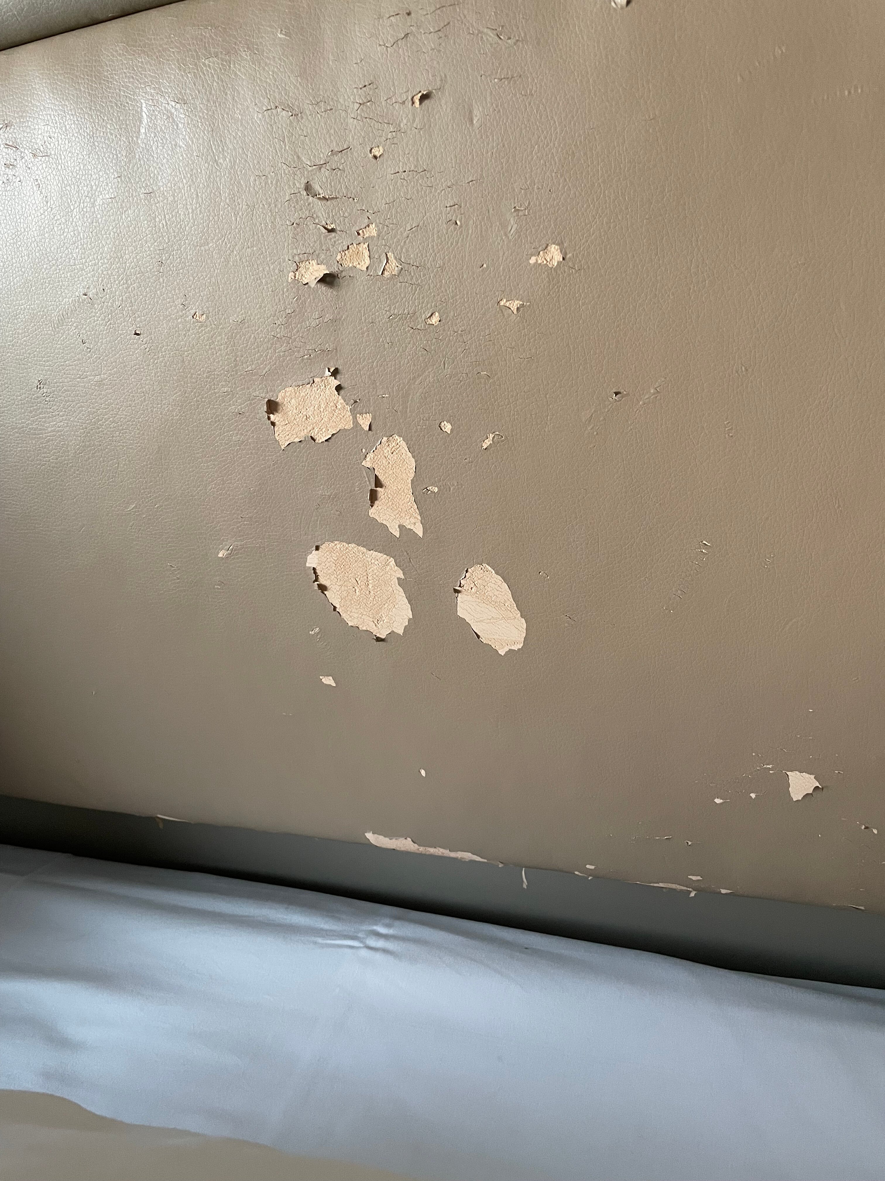 克拉丽奥酒店及特隆赫姆代表大会-客卧