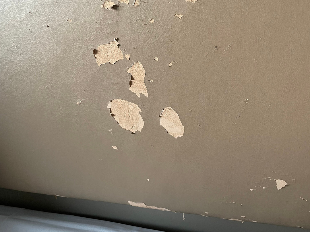 克拉丽奥酒店及特隆赫姆代表大会主图