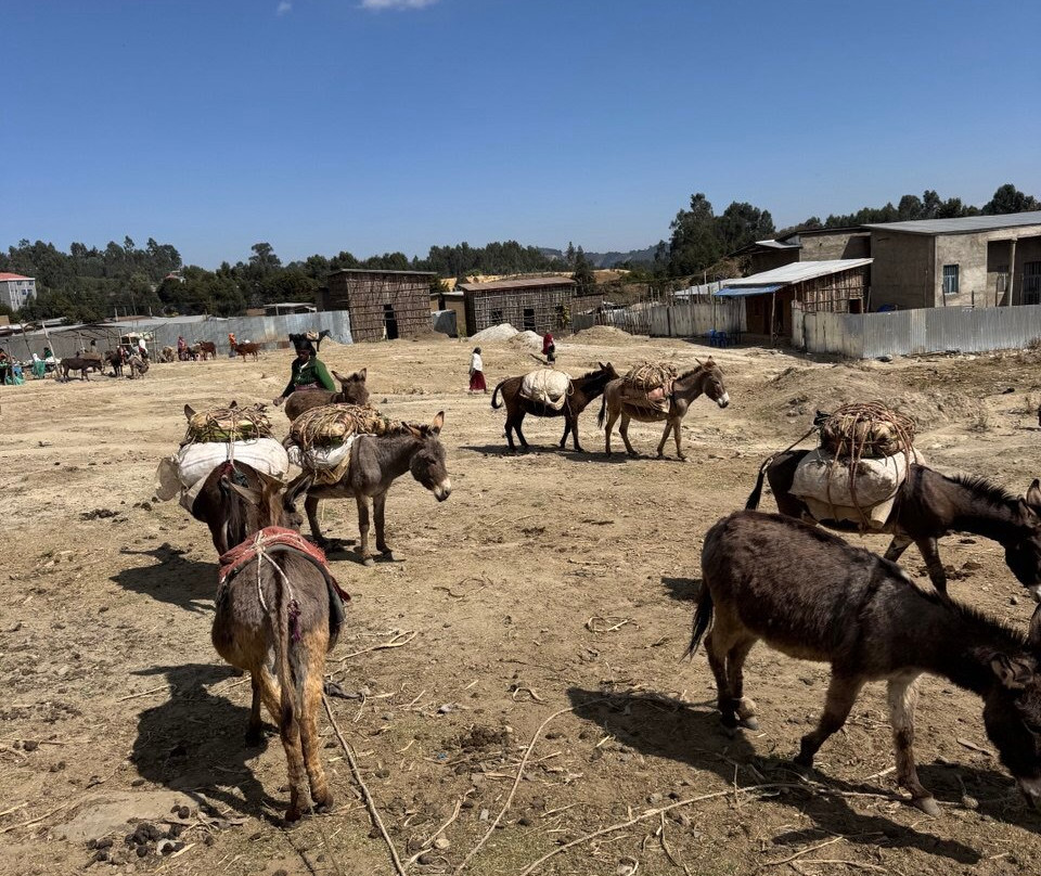 Wenchi Crater Lake & Hiking-Ambo必去景点