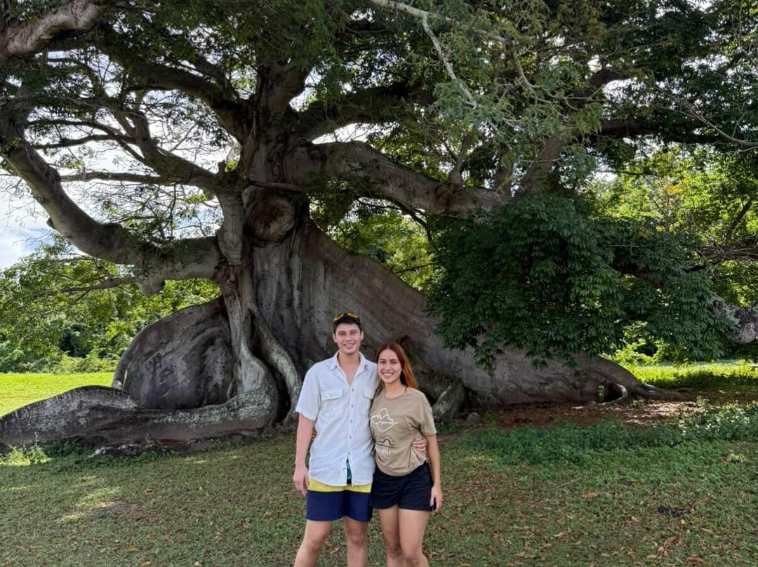 Fokito's Tours-Vieques必去景点