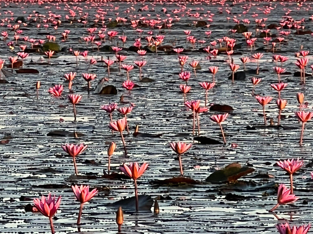 红莲湖-Chiang Haeo必去景点