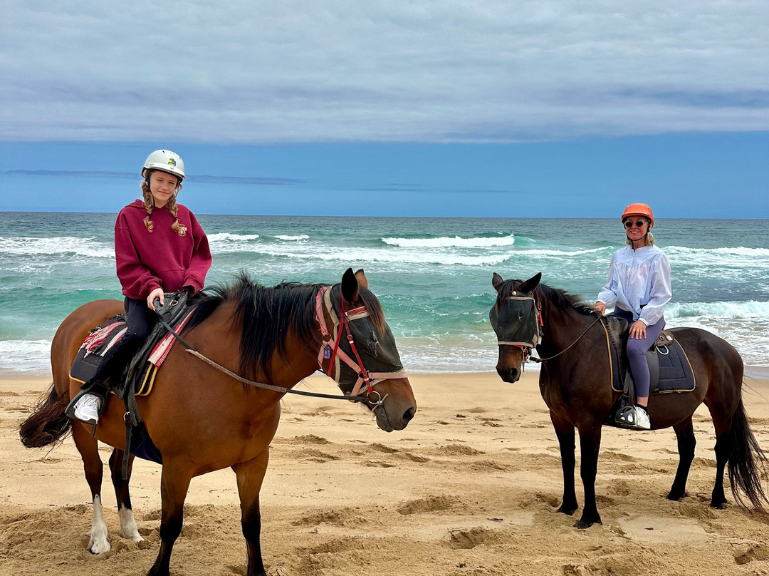 Gunnamatta Trail Rides-拉伊必去景点