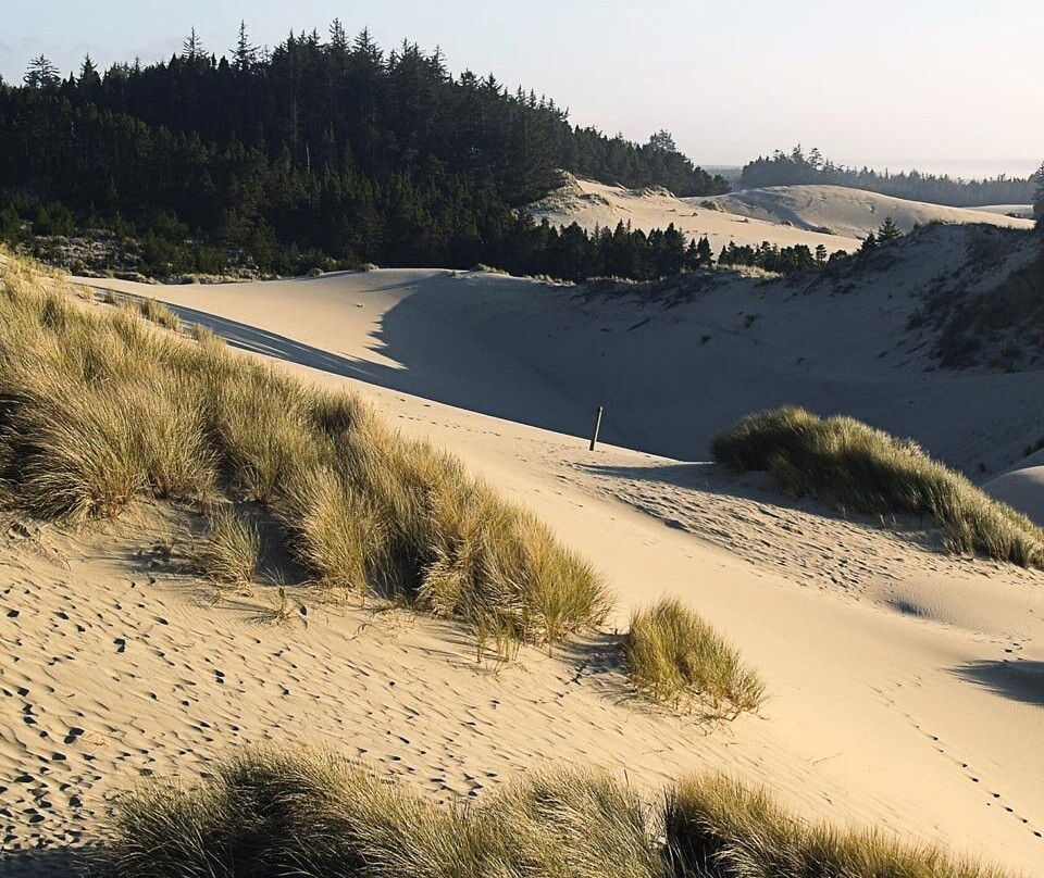 Sand Master Park - Sandboarding-弗洛伦斯必去景点
