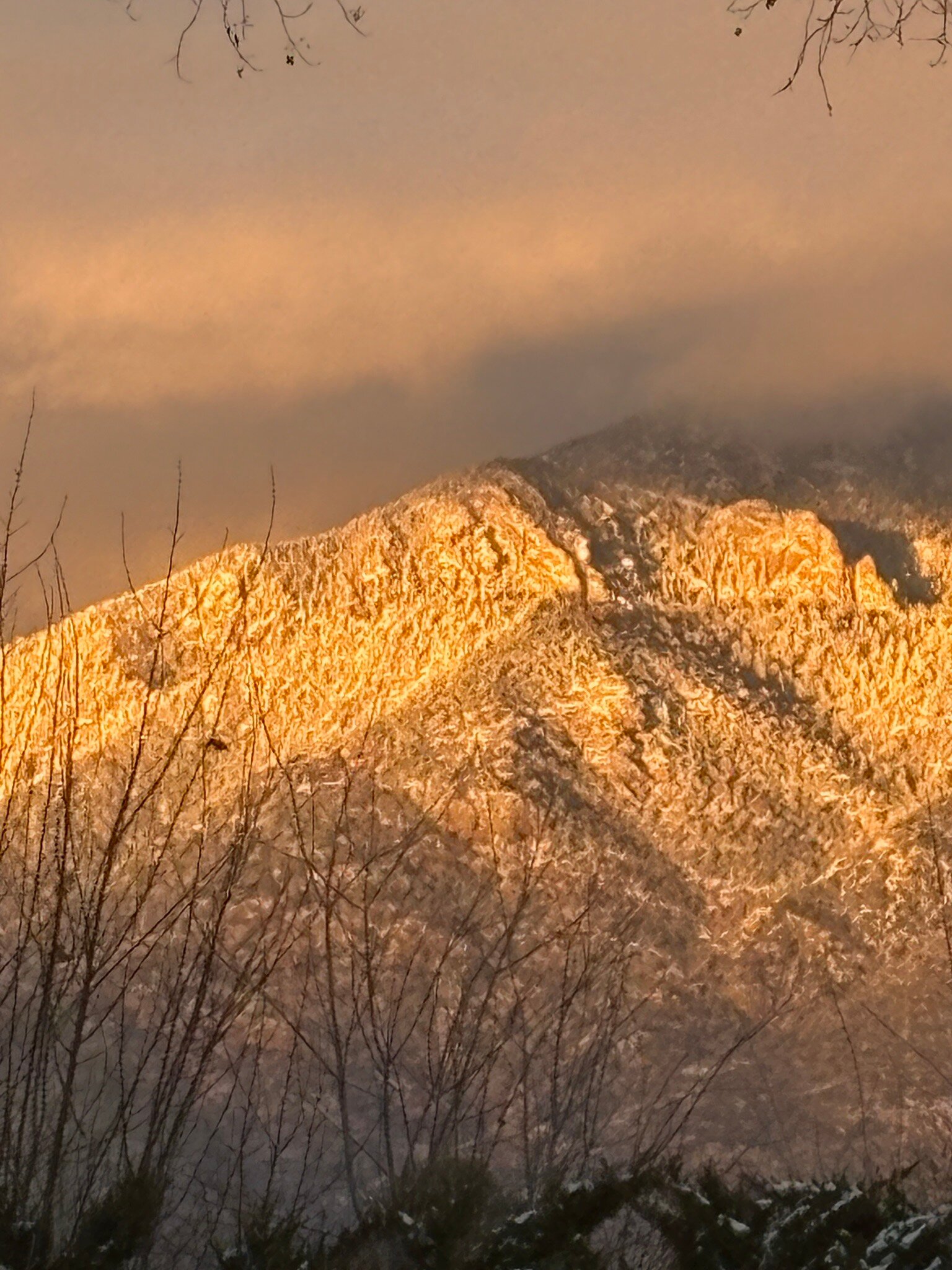 Hacienda del Sol-官方