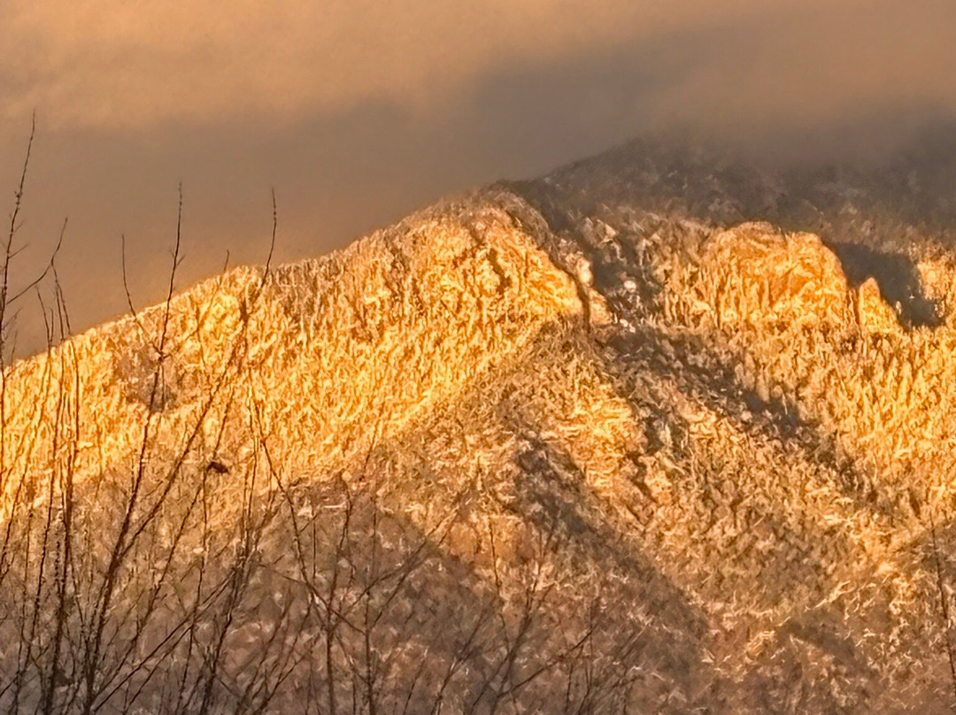 Hacienda del Sol主图