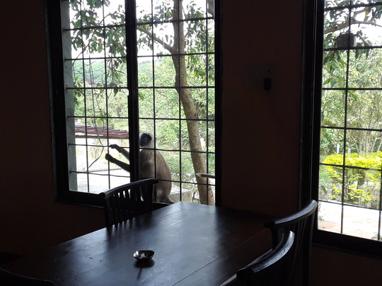 MTDC Mozari Point Resort主图