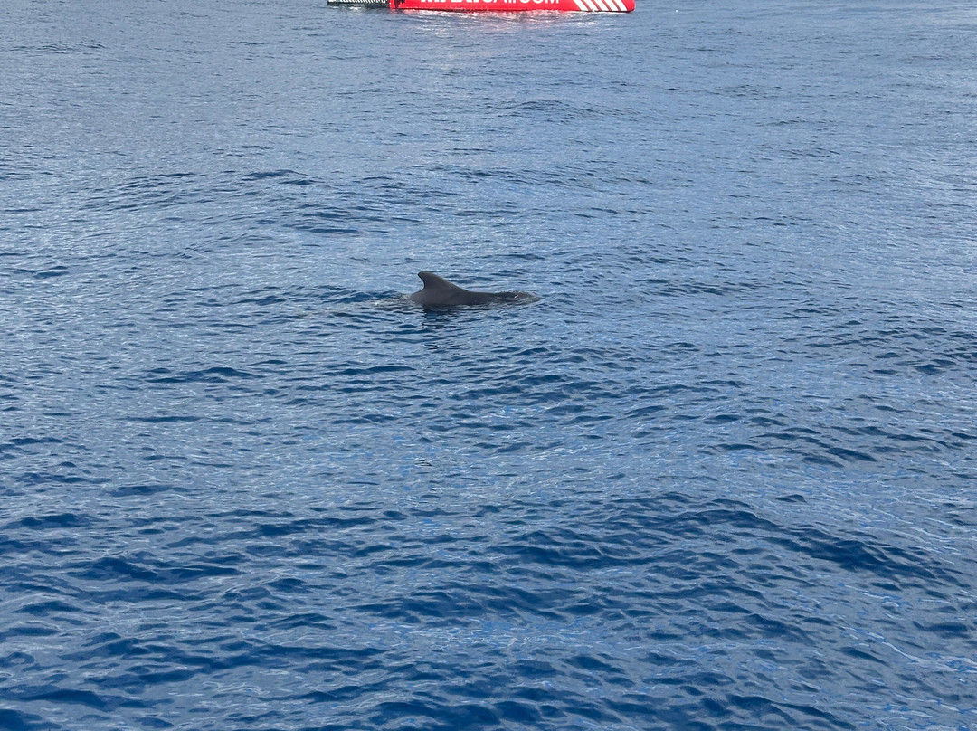 Opera 60 Luxury Charters-奥德杰海岸必去景点