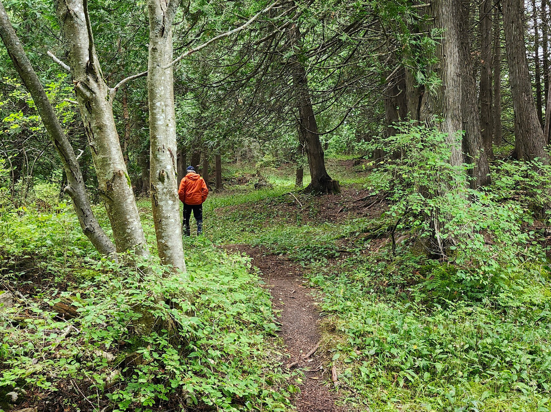 Domaine Forget-Saint-Irenee必去景点