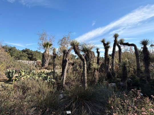 圣塔安那农场植物园-克莱蒙特必去景点