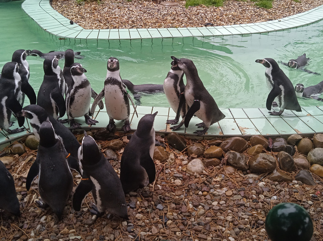 Jaderpark-Jaderberg必去景点