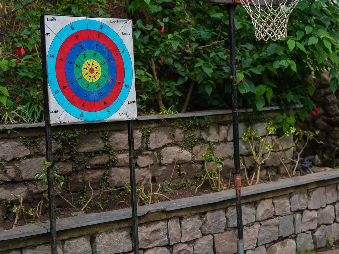 Kasauli Hills Resort主图