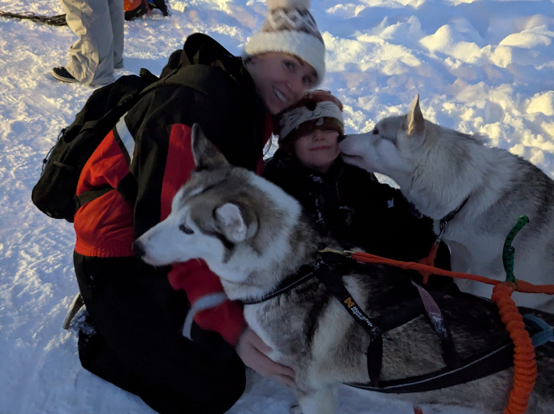 Ilonka Farm & Cafe-伊瓦洛必去景点
