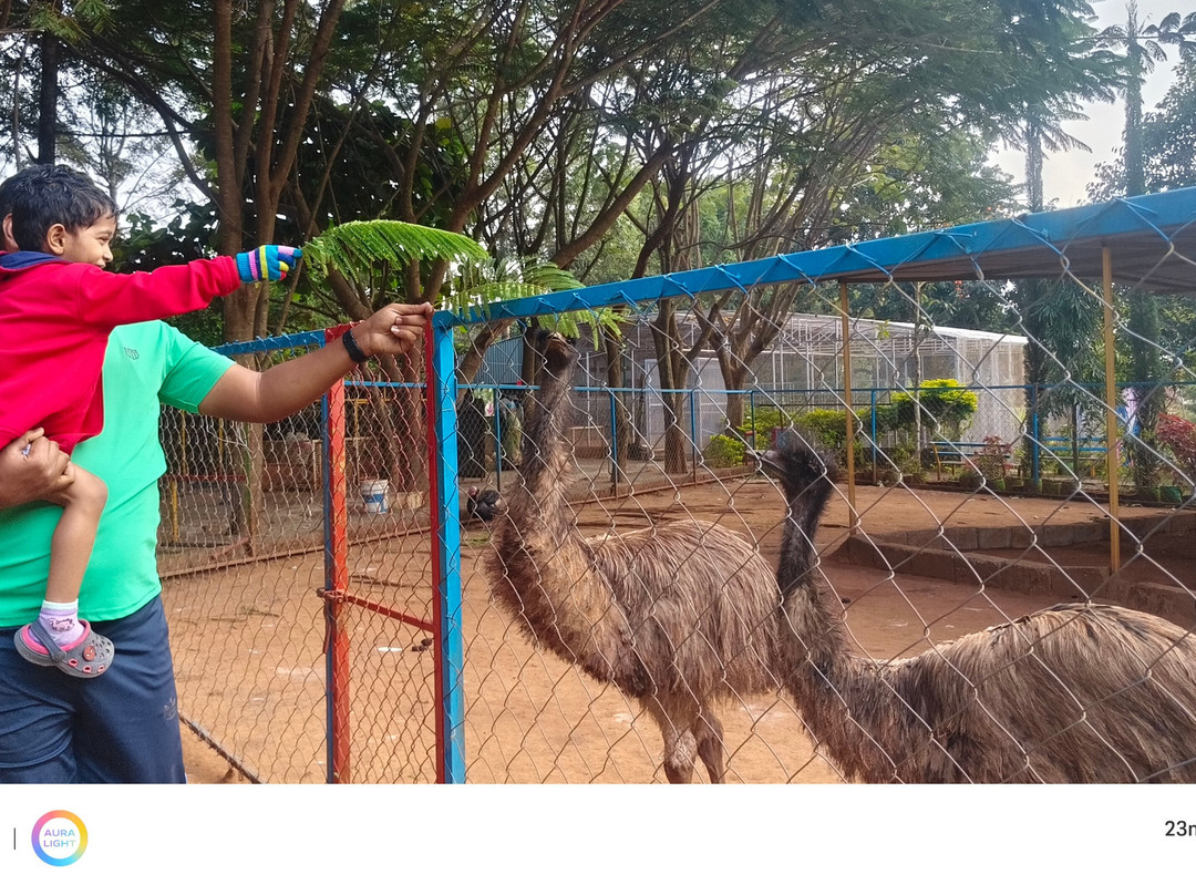 Cloud Forest Entertainment Park-Yelagiri必去景点