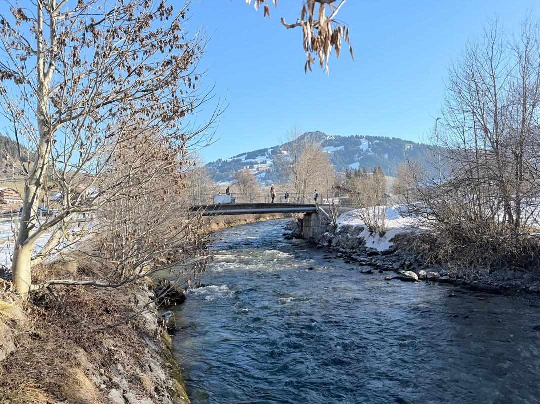 Erwin Tours of Switzerland-苏黎世必去景点