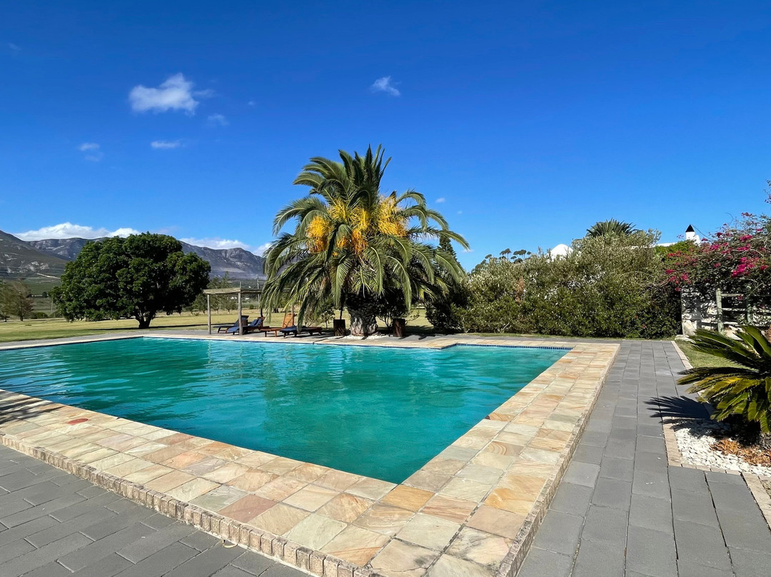 Springfontein Wine Estate-斯坦福必去景点