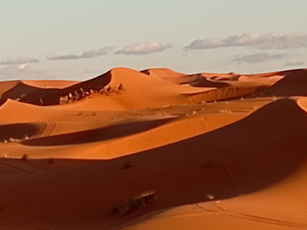 Dream Morocco Tours-非斯必去景点