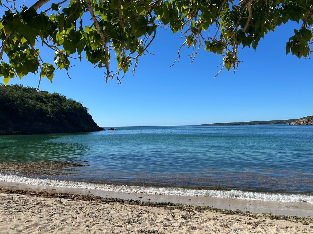 Bosque Estatal de Guánica-Guanica必去景点