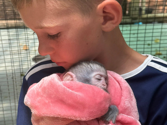 Bambelela Wildlife Care&Vervet Monkey Rehabilitation Farm-贝拉贝拉必去景点