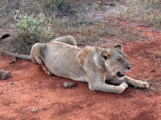Girasole Tours And Safaris-瓦塔木必去景点