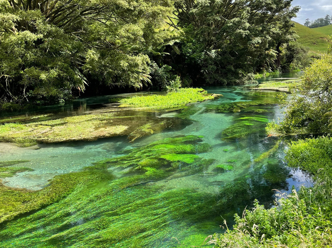 Blue Spring-普塔鲁鲁必去景点