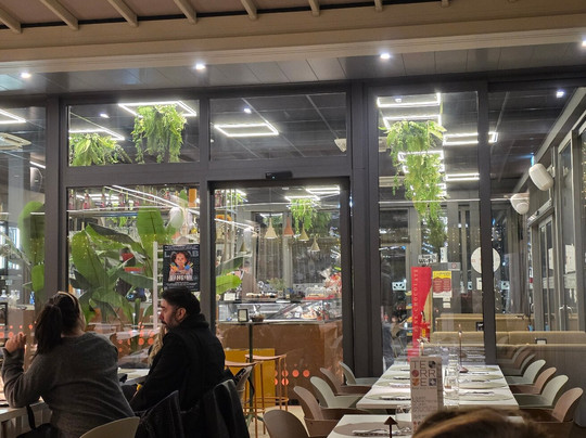 Terre -skip City Limits-