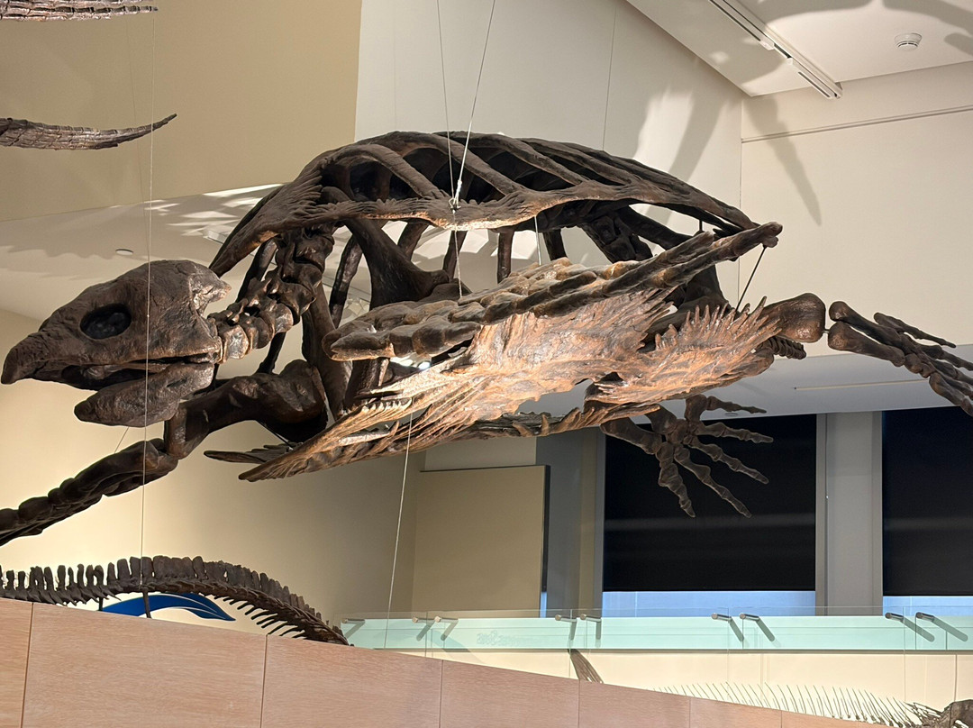 Canadian Museum Of Nature-渥太华必去景点