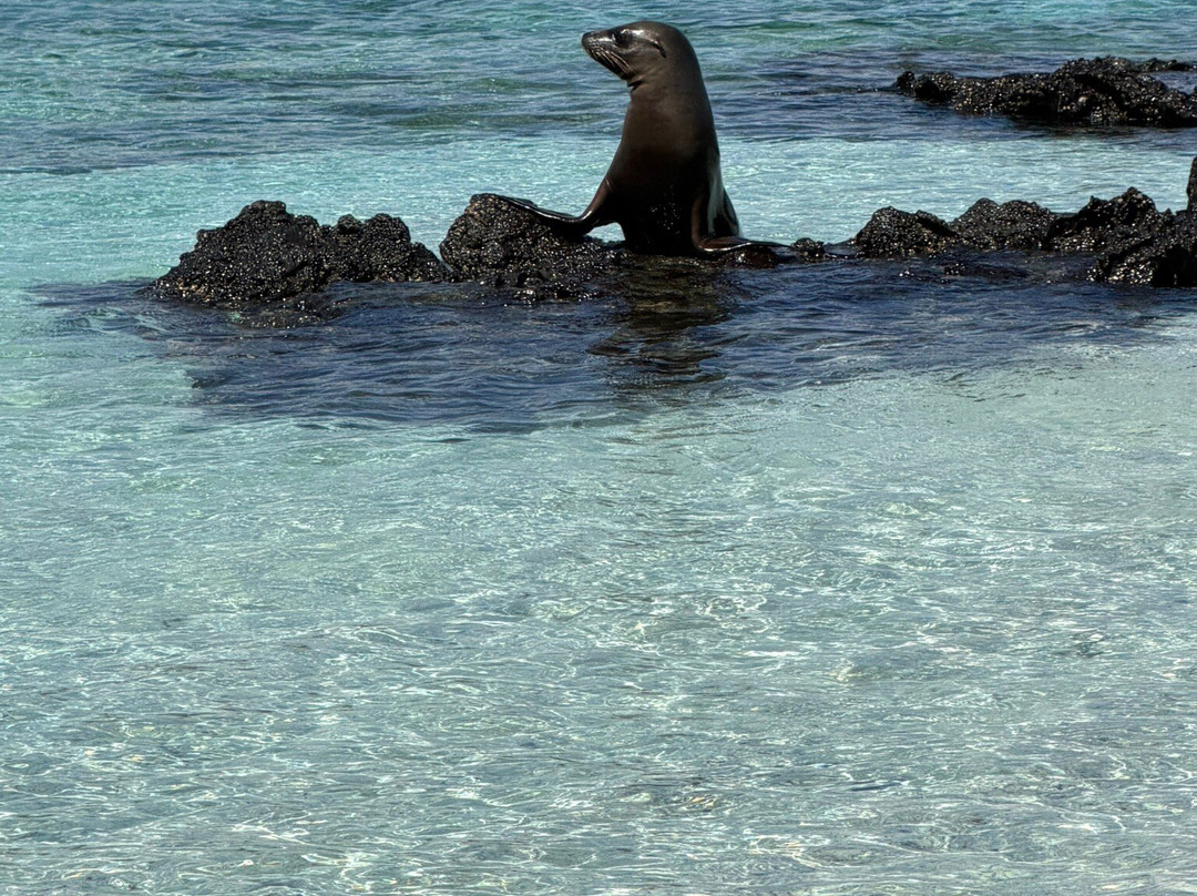 Fragata Yacht-Baltra必去景点