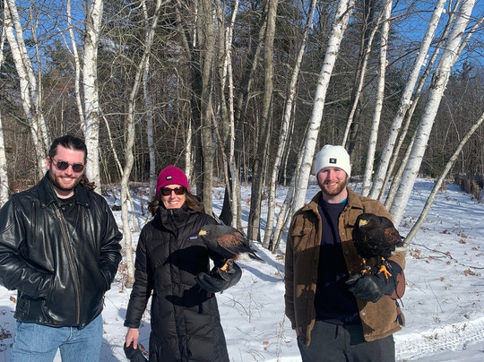 Monadnock Falconry-Temple必去景点