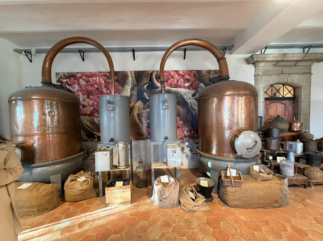 ROMY JAY-戛纳必去景点