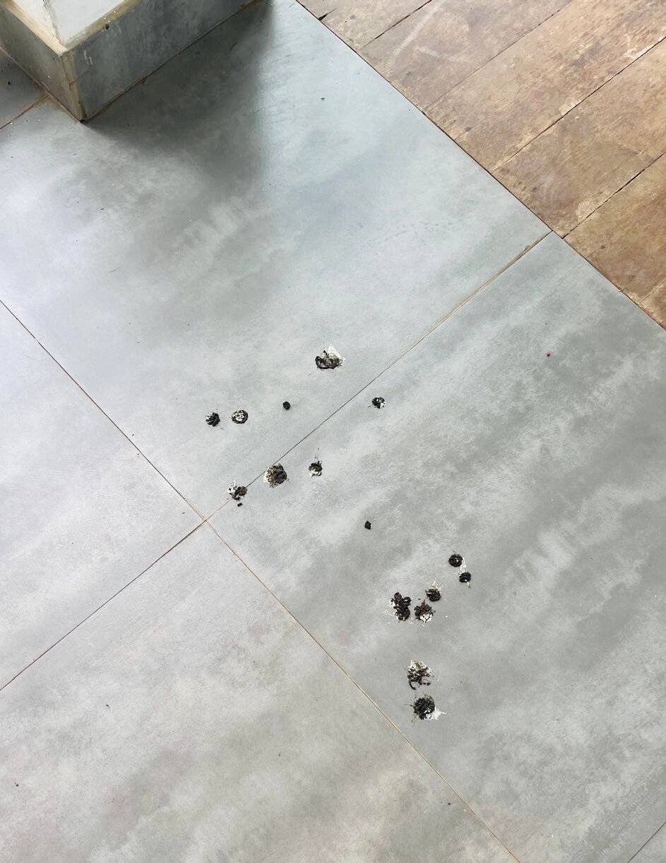 素里亚度假酒店-官方