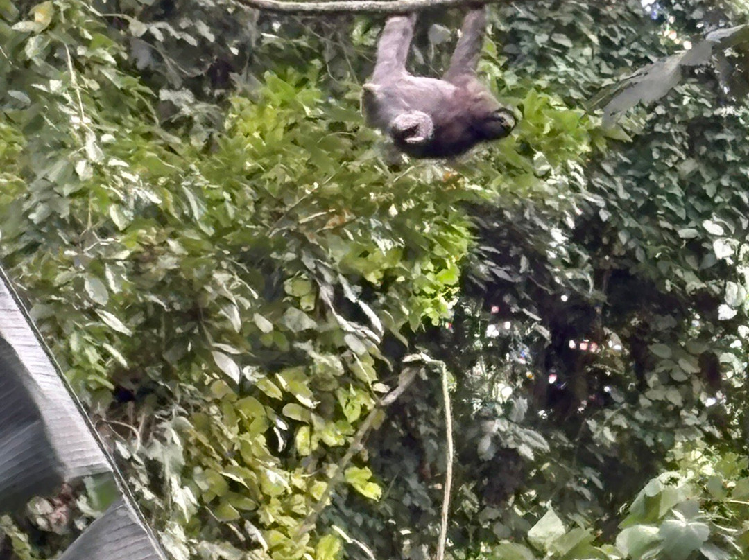 Chocorart-旧港必去景点