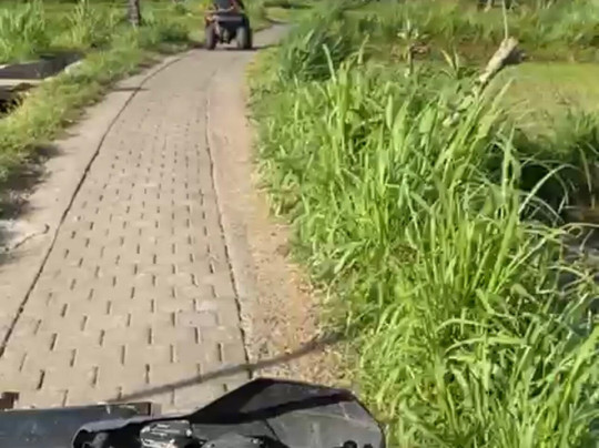 Bali Pertiwi Adventure-乌布必去景点