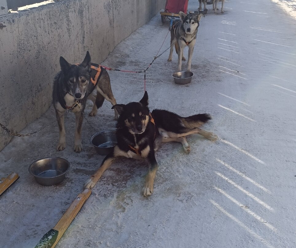 Centro Italiano Sleddog Husky Village-Valdidentro必去景点
