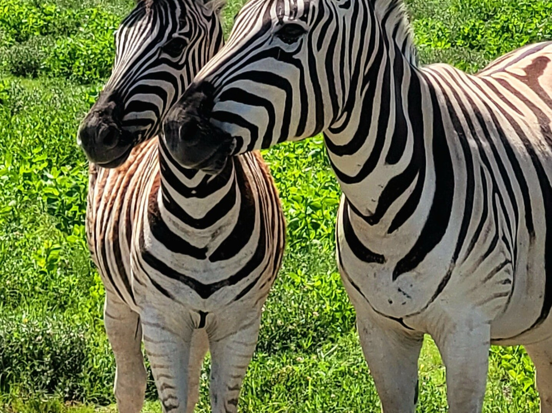 Namibia-Experience-温德和克必去景点