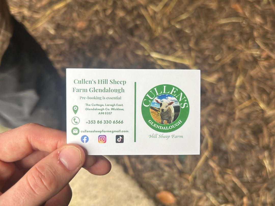 Cullen's Sheep Farm-拉腊必去景点