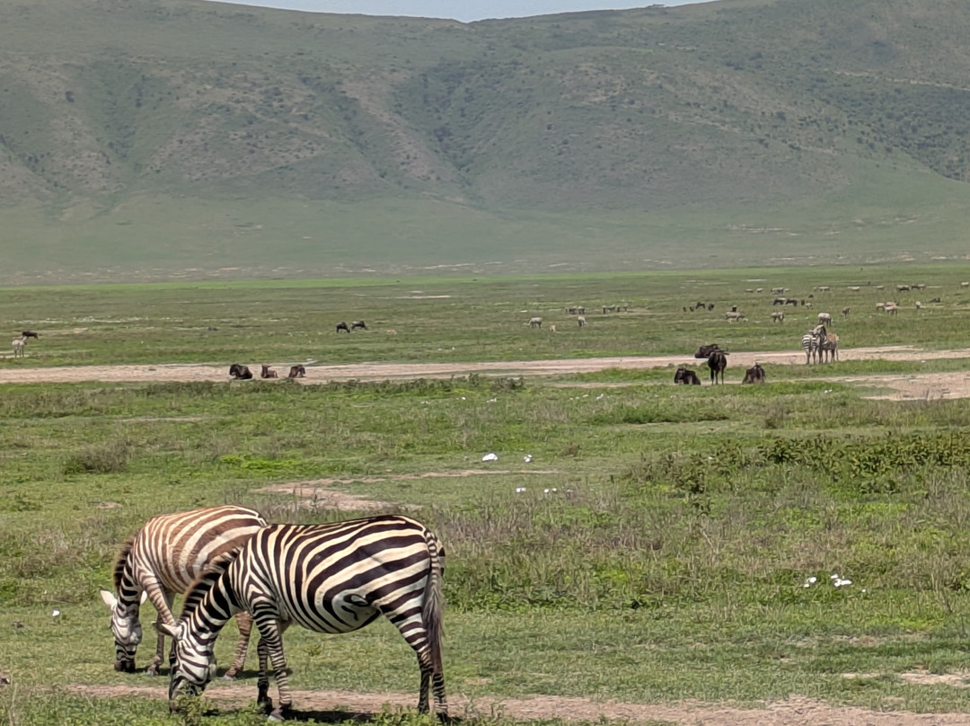 Fortes Africa-姆万扎必去景点