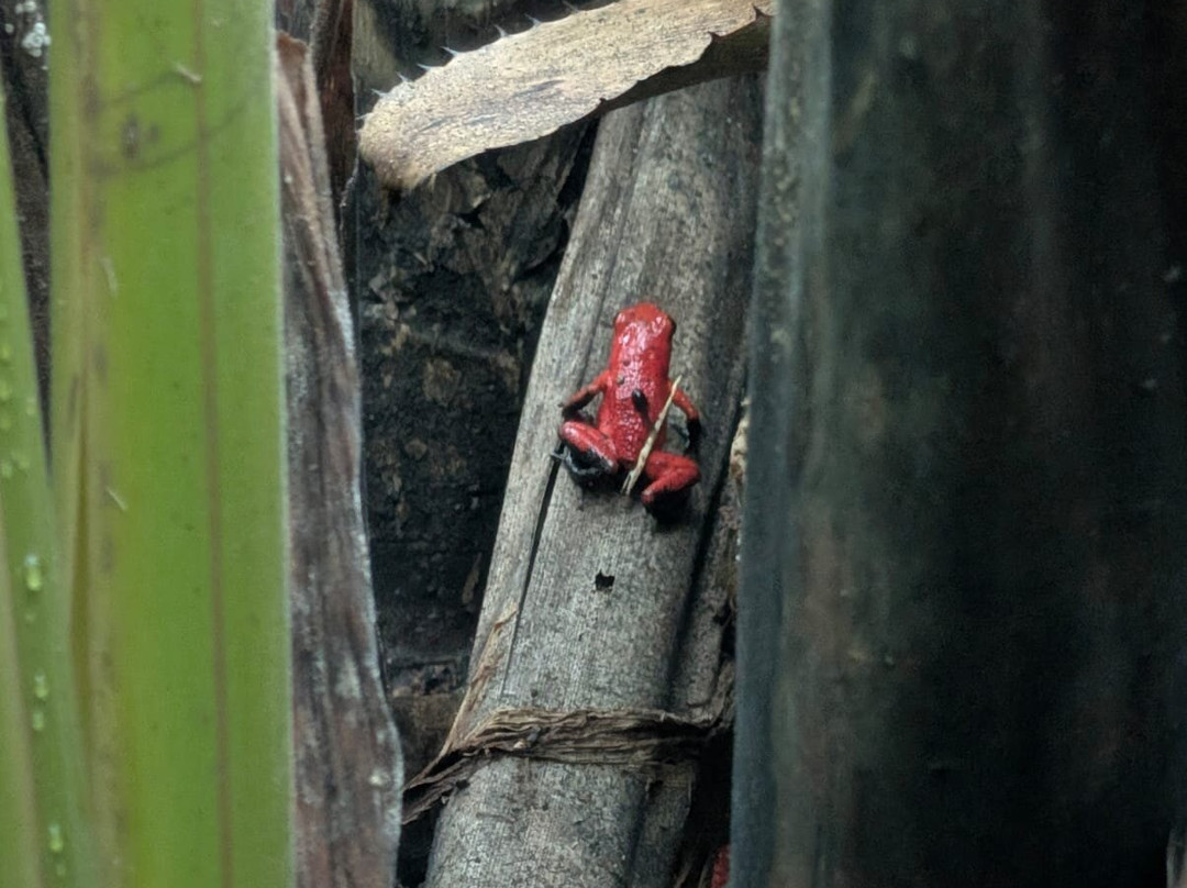 Maratopia-利蒙港必去景点