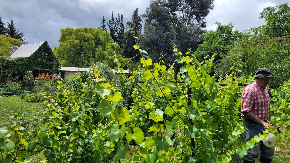 Posada Inti Watana-家庭/游戏区