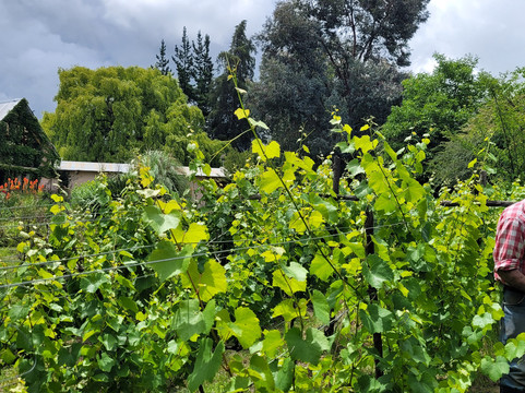 Posada Inti Watana主图