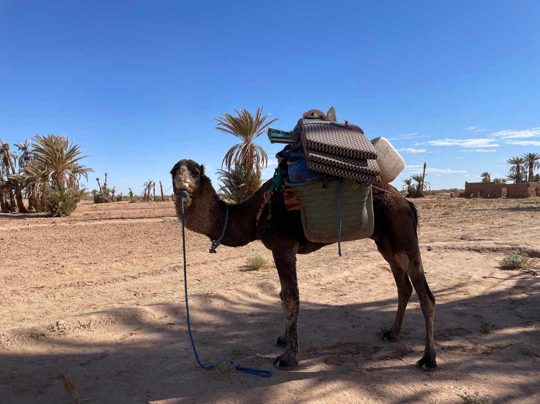 Eco Tourisme Trek Maroc-Azilal必去景点