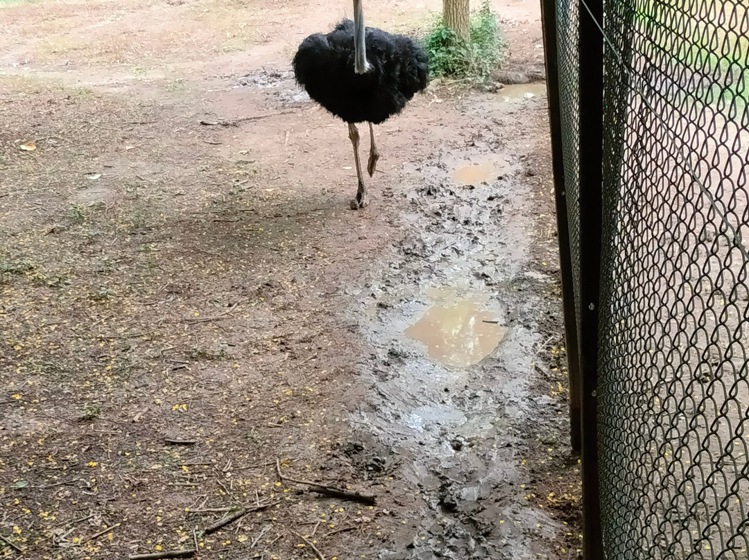 Assam State Zoo-古瓦哈提必去景点