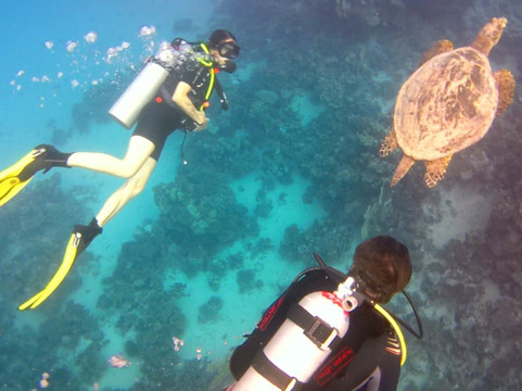 Travely Egypt Tours-马萨阿拉姆必去景点